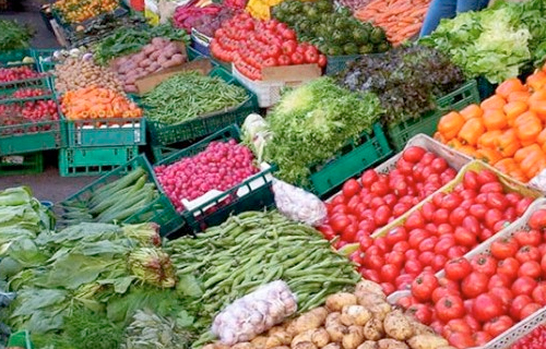 صورة الشعار