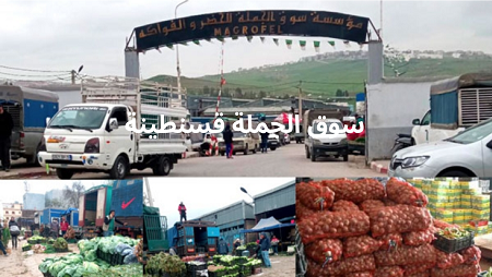 صورة الشعار