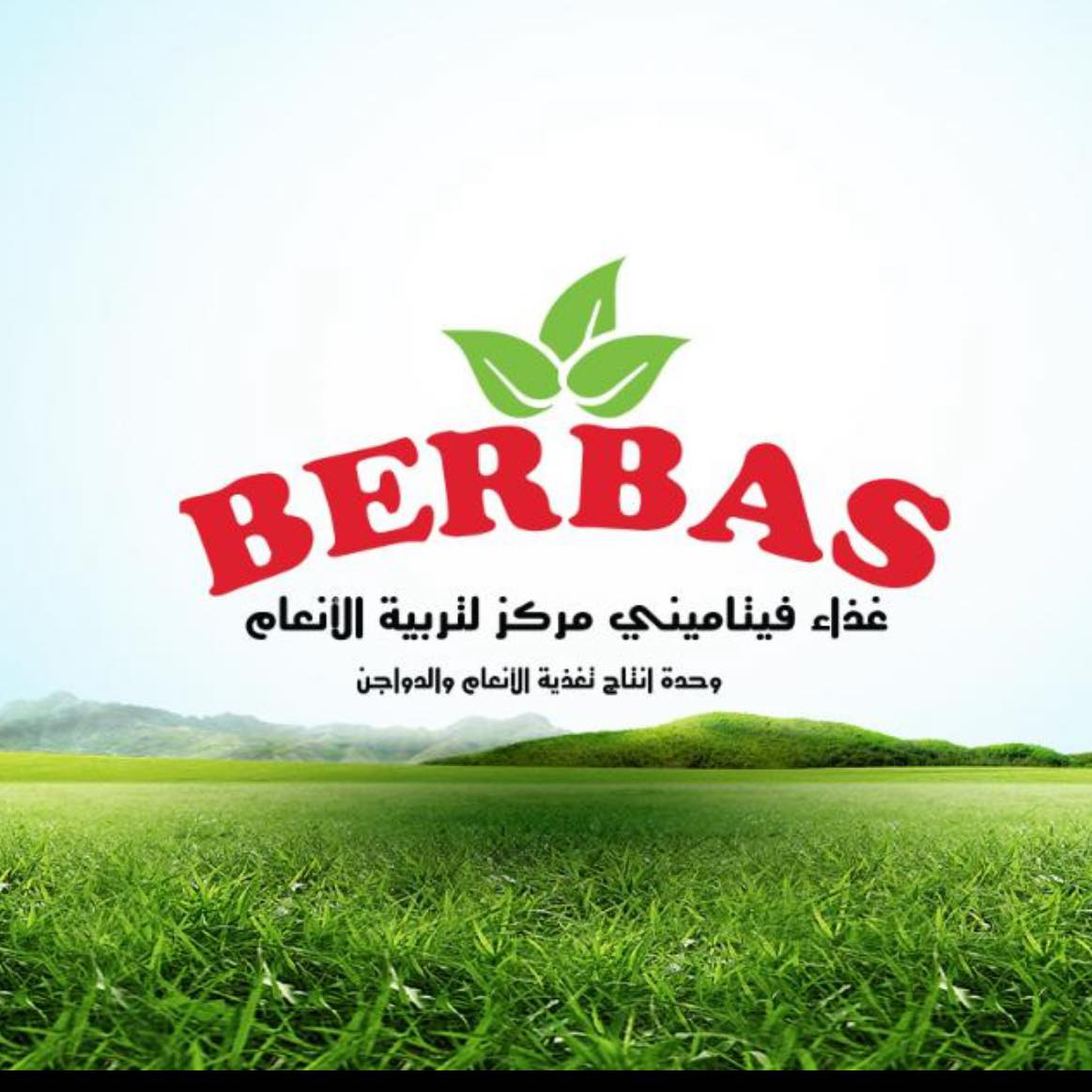 صورة الشعار