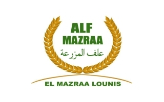 صورة الشعار
