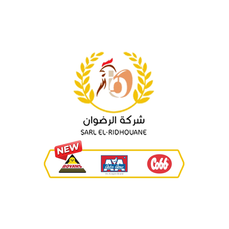 صورة الشعار