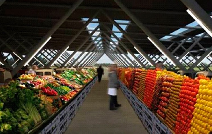 صورة الشعار